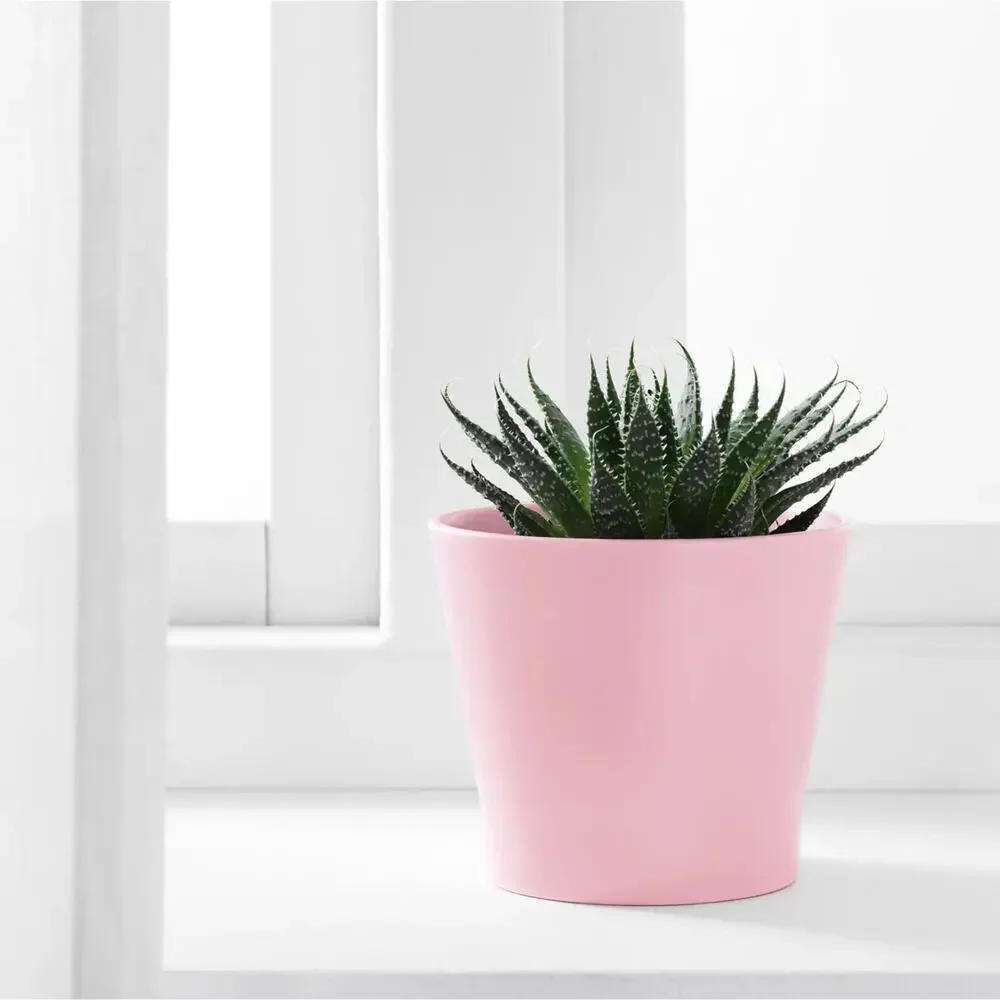 IKEA PAPAJA Plant Pot